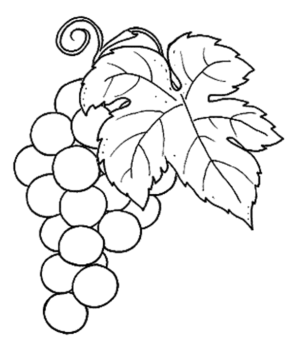 My Image 16