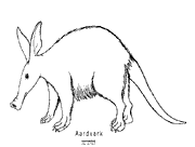 molde-Aardvark-2