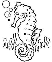 molde-cavalo-marinho