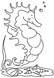 molde-cavalo-marinho 4