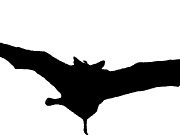 molde-morcego-1