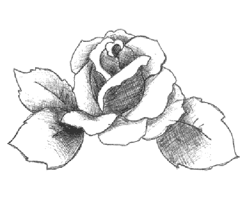 Molde de Rosas