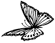 molde-inseto-3