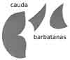 Tapete em EVA - moldes 1