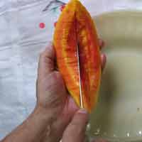 Fatias de Mamo