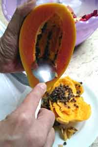 miolo do Mamo