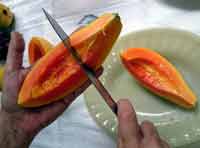 Fatias do Mamo