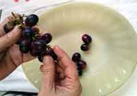 Preparar as Uvas