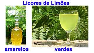 Licor Polpa de Limo